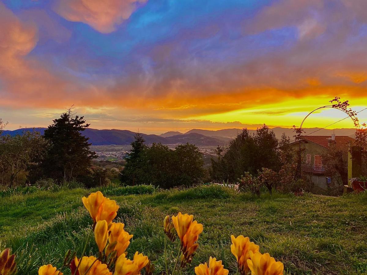 La Ginestra B&B Fosdinovo Luaran gambar