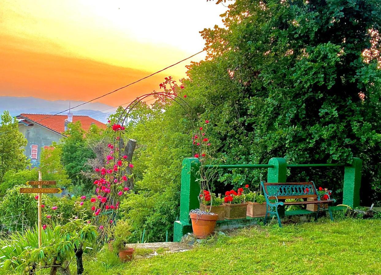 La Ginestra B&B Fosdinovo Luaran gambar