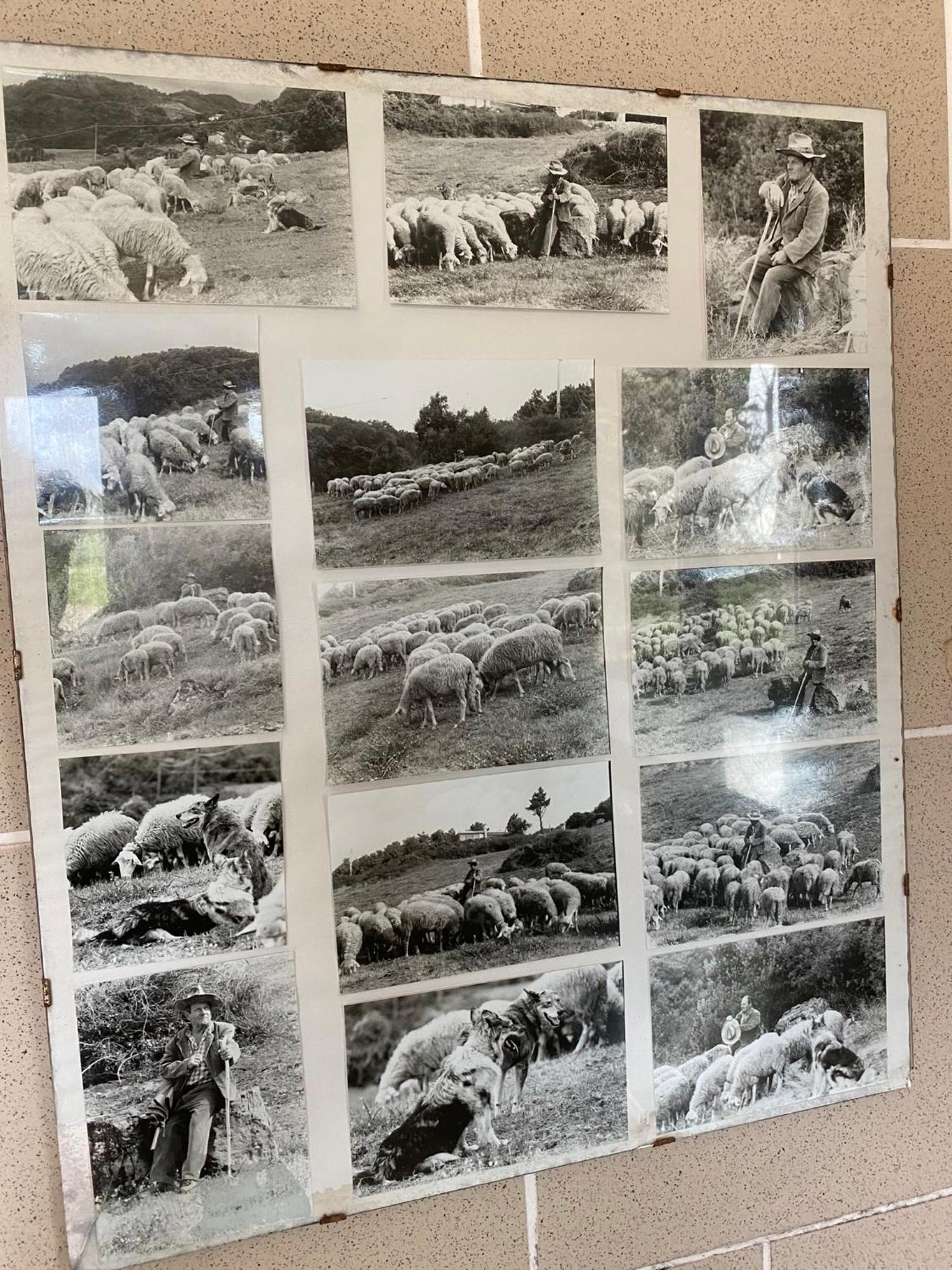 La Ginestra B&B Fosdinovo Luaran gambar