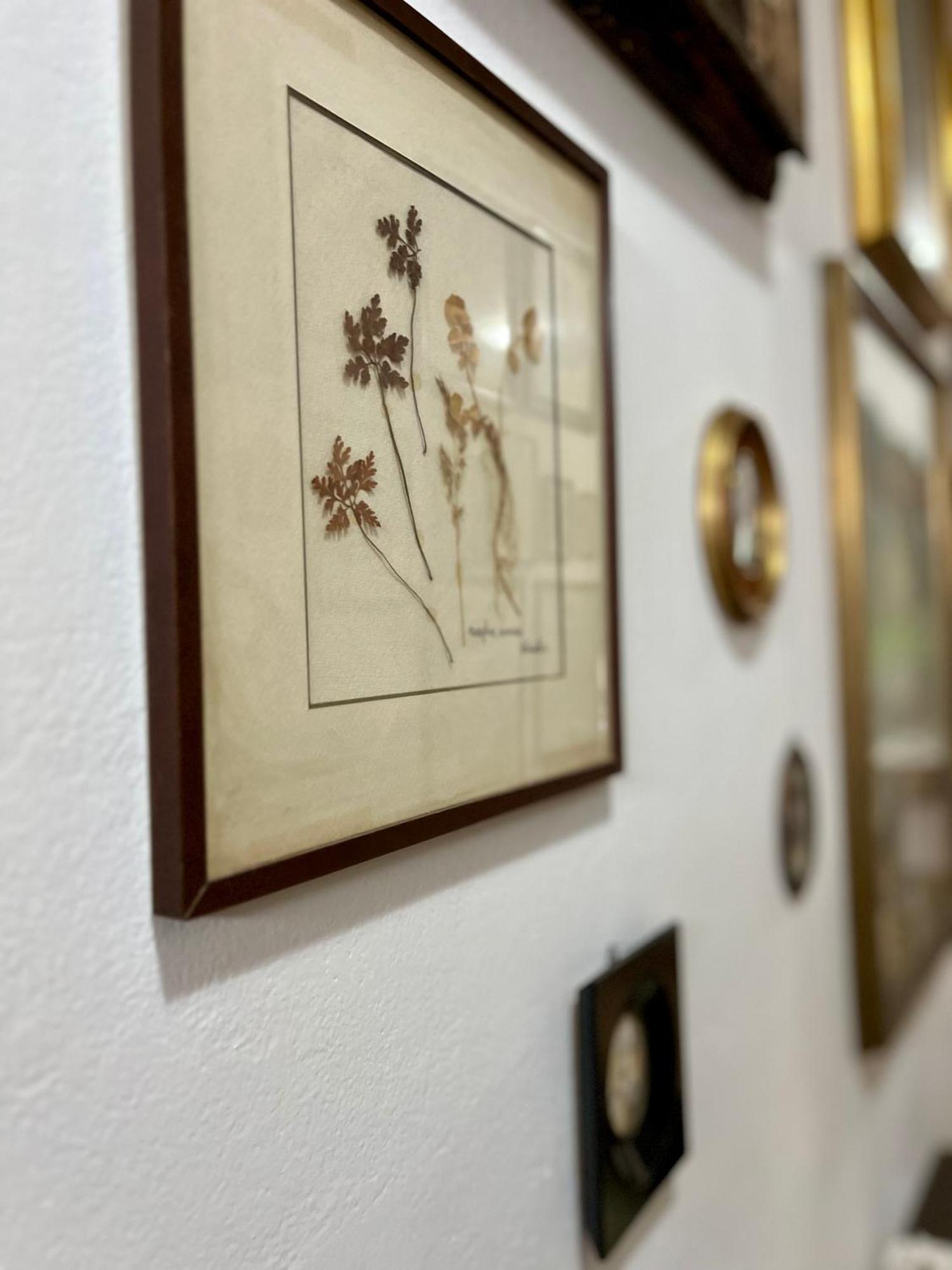 La Ginestra B&B Fosdinovo Luaran gambar